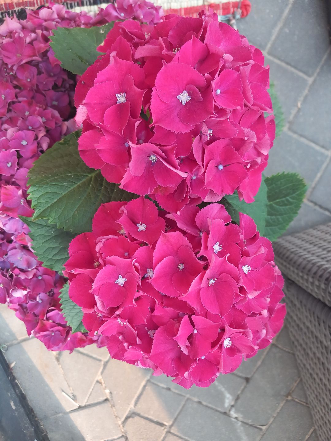 Huishoudelijke taken