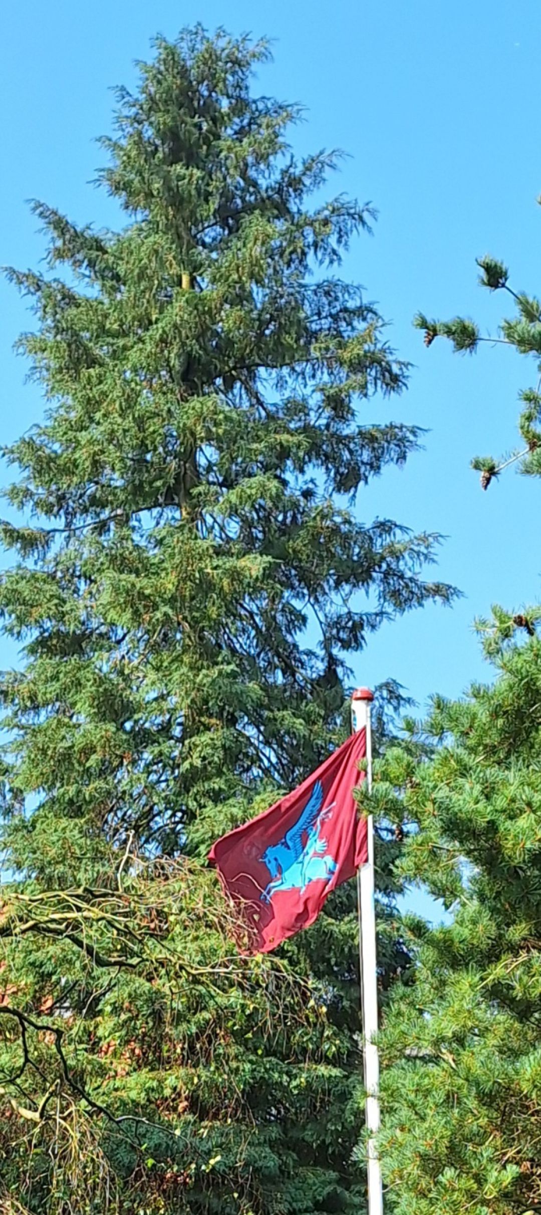 Huishoudelijke taken