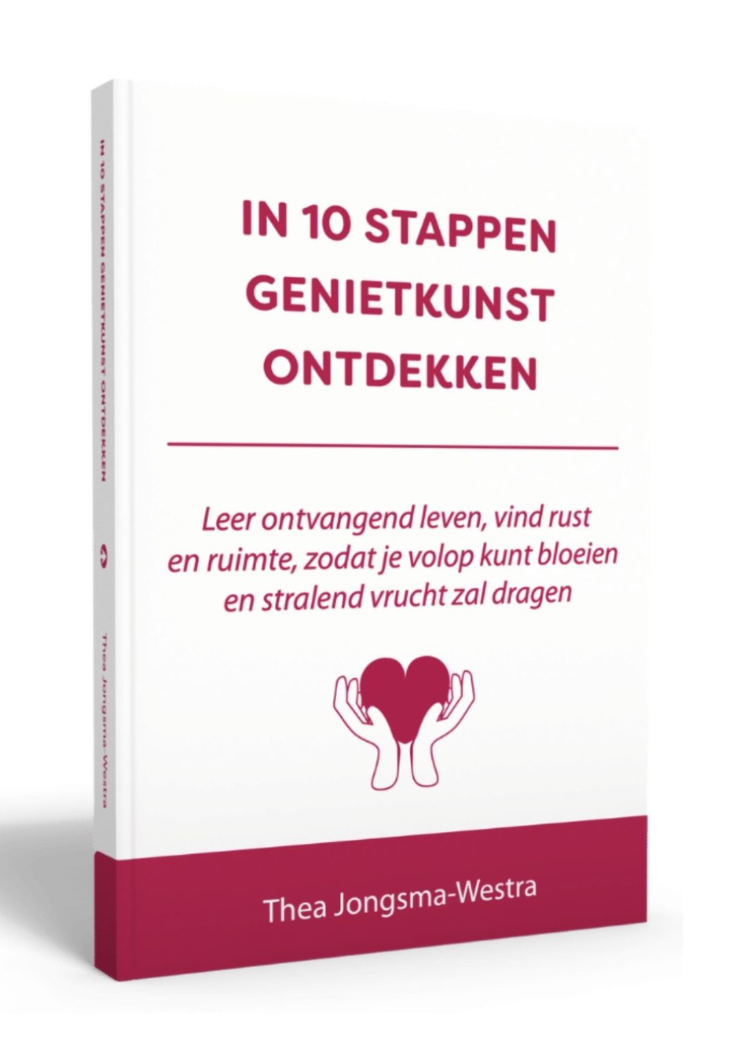 Boek: in 10 stappen genietkunst ontdekken