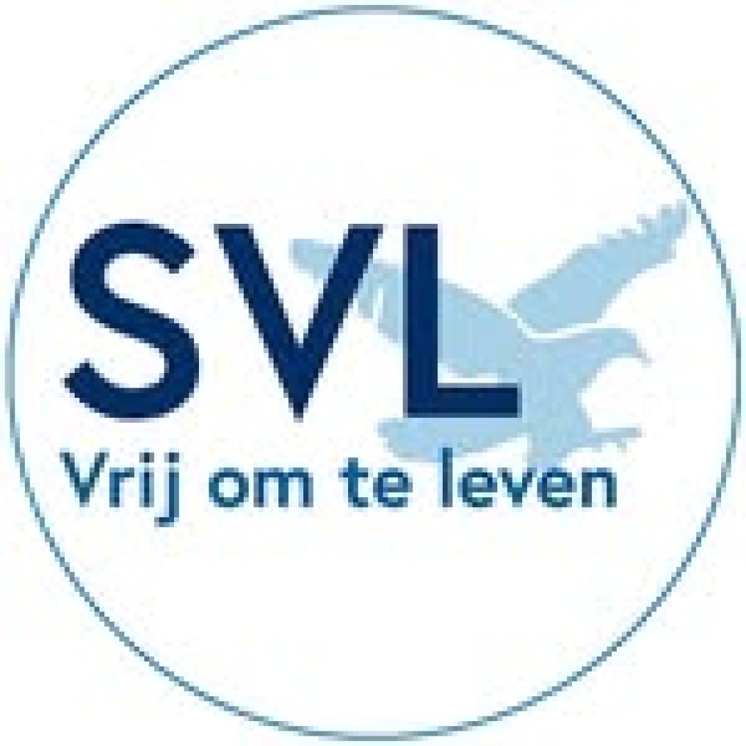 Afbeelding bij Informatieavond online: in gesprek over onze werkwijze, visie en programma’s