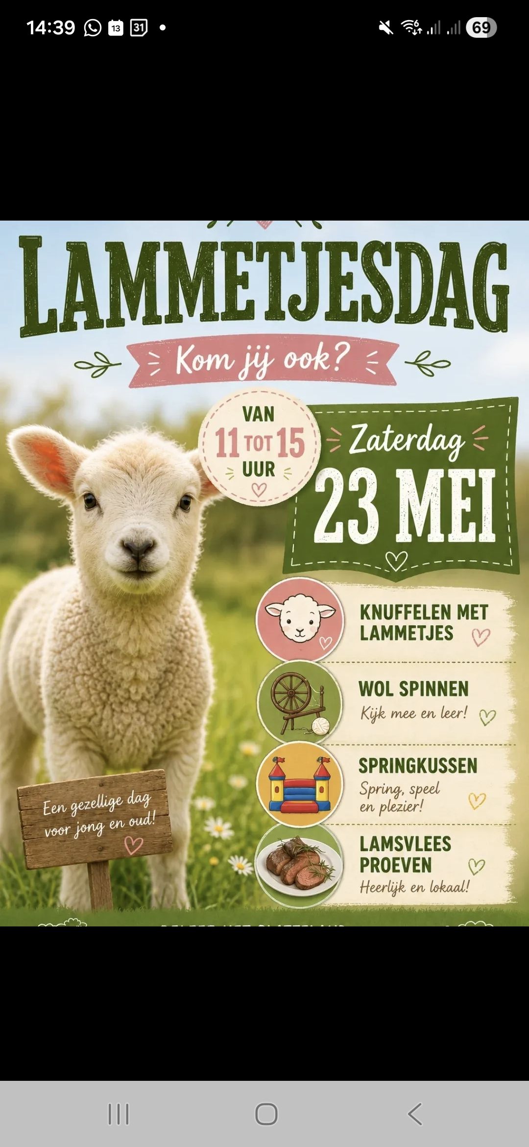 Afbeelding bij Lammetjesdag