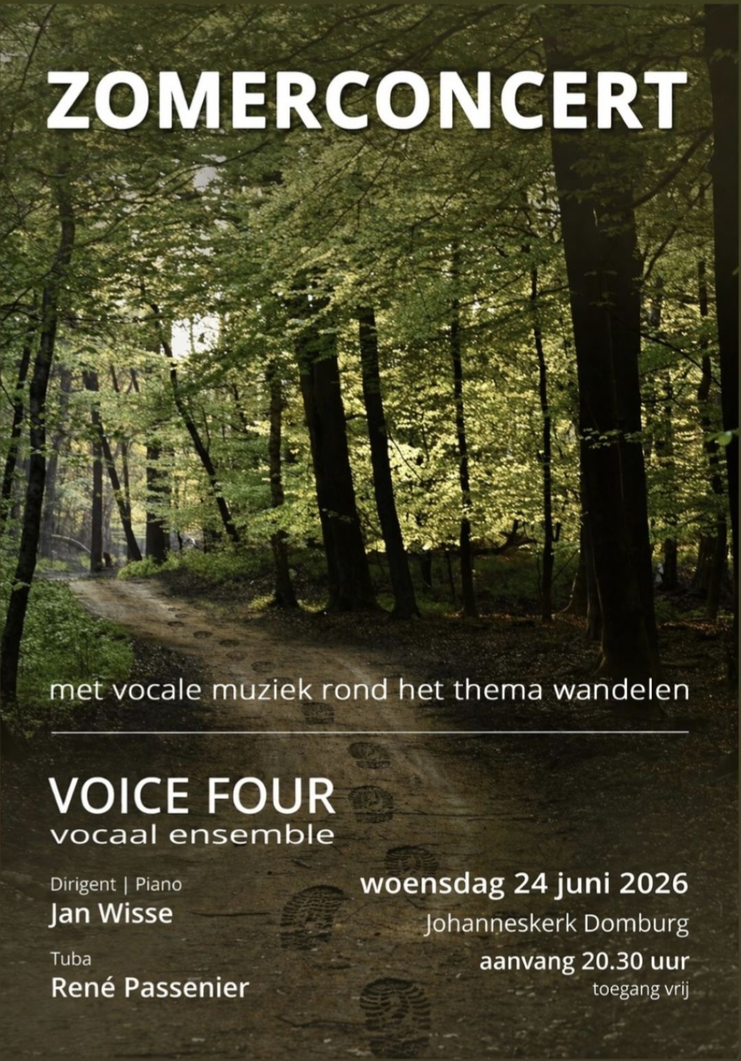 Afbeelding bij Zomerconcert